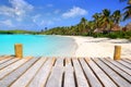 Contoy Island palm treesl caribbean beach Mexico Royalty Free Stock Photo