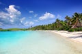 Contoy Island palm treesl caribbean beach Mexico