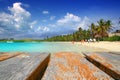 Contoy Island palm treesl caribbean beach Mexico Royalty Free Stock Photo