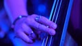 Contra bass player closeup