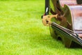 Contrabass on a background of green grass. The musical instrument consists of a soundboard with two holes Royalty Free Stock Photo