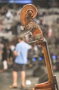 Contrabass on classical concert Royalty Free Stock Photo
