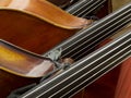 Contrabass closeup