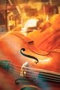 Contrabass at concert Royalty Free Stock Photo