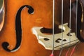 Contrabass strings Royalty Free Stock Photo