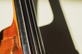 Contrabass strings Royalty Free Stock Photo