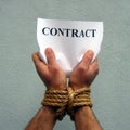 Contract Royalty Free Stock Photo