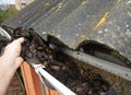 Contractor is cleaning the roof gutter of the house by removing fallen autumn leaves and dirt with his hand Royalty Free Stock Photo