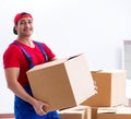 Contractor worker moving boxes during office move Royalty Free Stock Photo