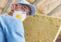 Contractor Worker with Piece of Mineral Wool Home Insulation Material Royalty Free Stock Photo