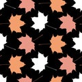 Contrast autumn leaf fall of maple leaves seamless pattern on black background design Royalty Free Stock Photo