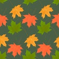 Contrast autumn leaf fall of maple leaves seamless pattern on dark background Royalty Free Stock Photo