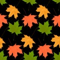Contrast autumn leaf fall of maple leaves seamless pattern on dark background, cute natural background for decoration Royalty Free Stock Photo