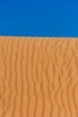 Contrast beautiful deep blue sky and orange rippled pattern sand dunes in the United Arab Emirates. Royalty Free Stock Photo