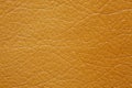 Contrast brown leatherette background.