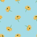 Contrast creative seamless pattern with yellow hand drawn chrysanthemum flowers print. Blue background