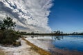 Contrast on Gator Lake Royalty Free Stock Photo