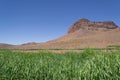 Green field, dry mountain, clear blue sky Royalty Free Stock Photo