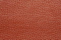 Contrast lackered brown leatherette texture.