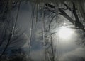 Icicles Hanging Off Roof - View from Inside, Looking out of a Window