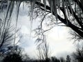 Icicles Hanging Off Roof - View from Inside, Looking out of a Window