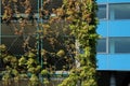 Contrast between nature and town. Green parking lot. Glass office building in the background Royalty Free Stock Photo