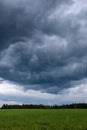 Contrast rain storm clouds over green meadow and some trees in summer. blue sky before the rain Royalty Free Stock Photo