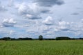 Contrast rain storm clouds over green meadow and some trees in summer. blue sky before the rain Royalty Free Stock Photo