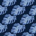 Contrast seamless pattern with blue bright monstera ornament. Navy blue dark background