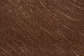 Contrast textile background in effective brown hue. Royalty Free Stock Photo