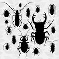 Contrast vector set with silhouette of bugs.