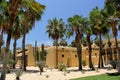 Contrast vegetation of cactus plants and palm trees desert and beach of Baja California Royalty Free Stock Photo