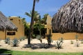 Contrast vegetation of cactus plants and palm trees desert and beach of Baja California Royalty Free Stock Photo