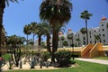 Contrast vegetation of cactus plants and palm trees desert and beach of Baja California Royalty Free Stock Photo