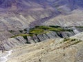 Contrast between a village in the green vegetation and the sourrounding hight arid mountains, Nubra valley, Ladakh, India Royalty Free Stock Photo