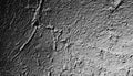 Contrasted plastered wall texture black and white Royalty Free Stock Photo