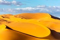 Landscape of arc shaped sand dunes in contrasted sunny Sahara Desert