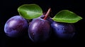 Contrasting Balance: Plums On A Black Background With Water Drops