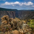 Contrasting beauty along the Warner Pont Trail fo the Black Canyon