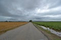 Contrasting Fields across the Road