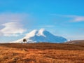 Contrasting silhouette of lonely tree against the large snow-covered mountain. Autumn in the vicinity of Mount Elbrus. Royalty Free Stock Photo