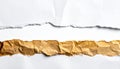 Contrasting Torn Paper Layers on White Background Royalty Free Stock Photo