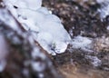 Contrasts of frozen and running water, spring water flows over pieces of limestone, running water freezes to form various Royalty Free Stock Photo