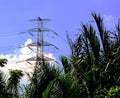 Contrasts of Vietnam. Metal High-voltage towers and palms.