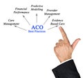 Contributions of ACO Best Practices