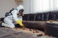 exterminator pest control termite uniform cockroach insect sofa pesticide kill. Generative AI.