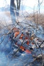 A controlled burn with blue logs and orange fire