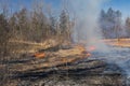 Controlled Burn in a Native Prairie