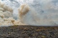 controlled Bushfire in Kakadu National Park, with diffrent birds, Northern Territory, Australia