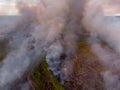 Controlled forest burn aerial drone photo view